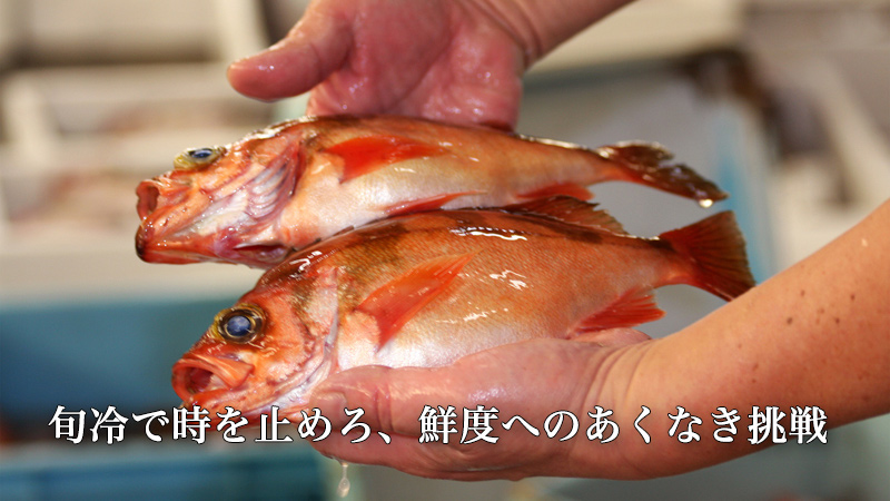 旬冷で時を止めろ、鮮度へのあくなき挑戦